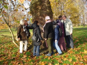 Introduction to Dowsing Certificated course