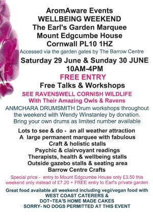 AromAware Events WELLBEING WEEKEND