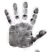 professional palmistry - 20 weeks online course