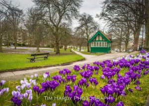 HARROGATE HEALTH HEALING & WELLBEING FESTIVAL 12 & 13 October 2019