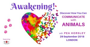 Awakening! The Animal Communication Experience