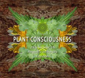 Plant Consciousness