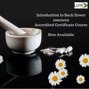 Bach Flower Certificate Course