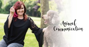Animal Communication with Anita Panayiotis