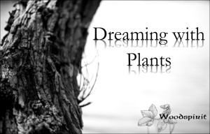 Dreaming With Plants